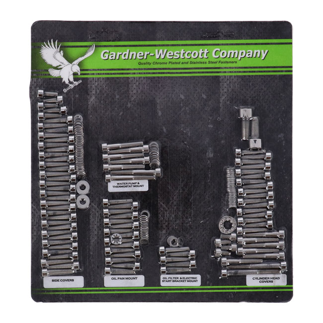 GW MOTOR SCREW SET, POLISHED SS ALLEN