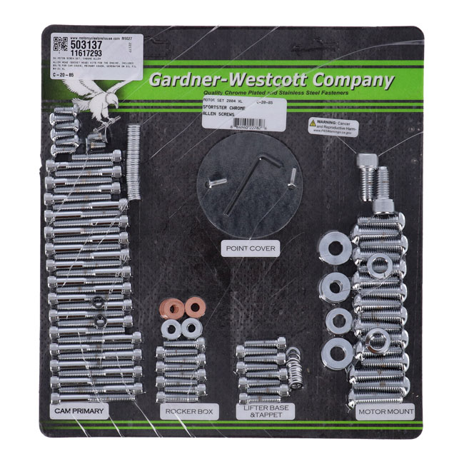 GW MOTOR SCREW SET, CHROME ALLEN