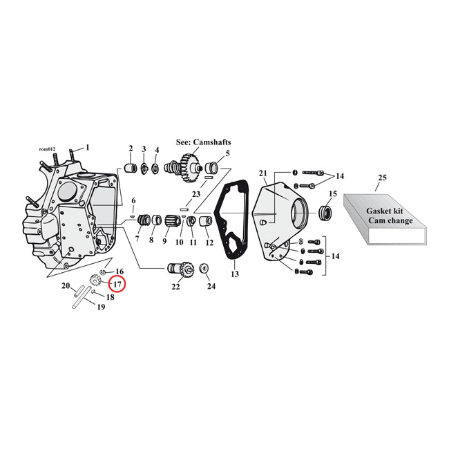 Import, oil pump driven gear. 24T