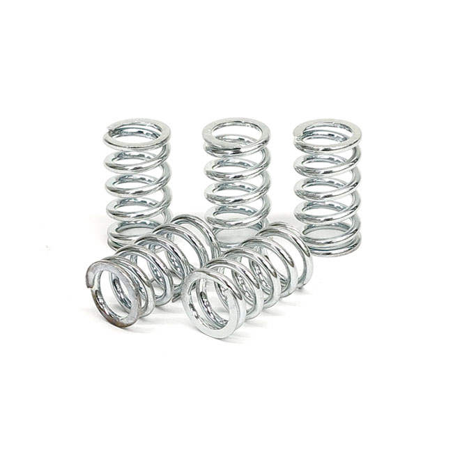 TRW clutch spring kit