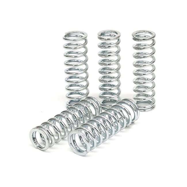 TRW clutch spring kit