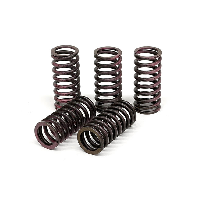 TRW clutch spring kit