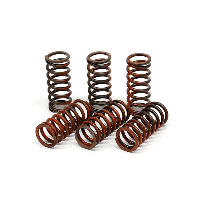 TRW clutch spring kit