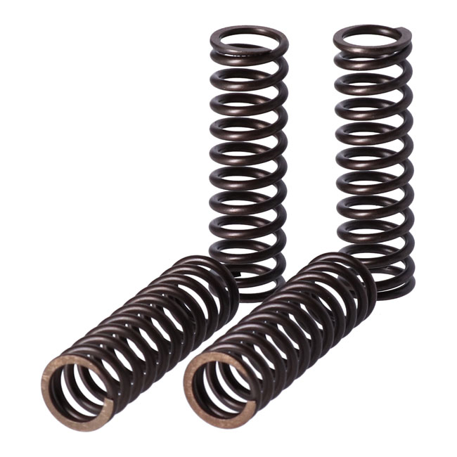 TRW clutch spring kit