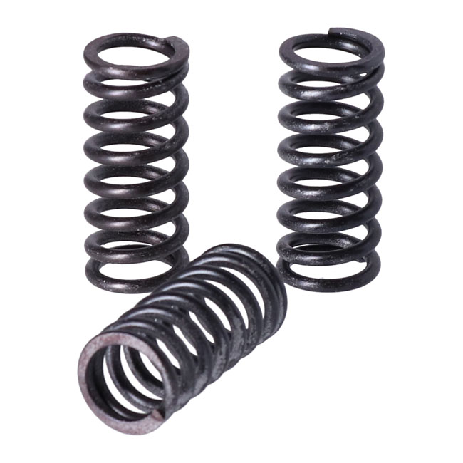 TRW clutch spring kit