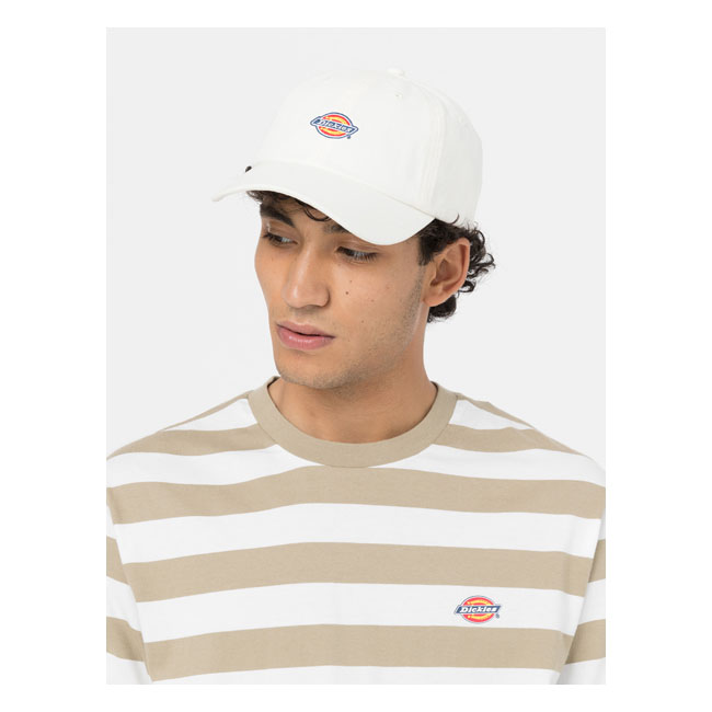 Dickies Hardwick cap cloud One size fits most