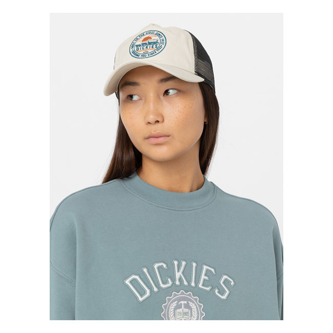 Dickies Greensburg cap whitecap gray One size fits most