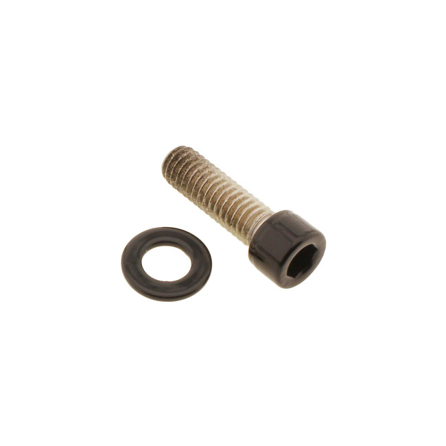 Screws4Bikes, bolt kit, rear belt guard